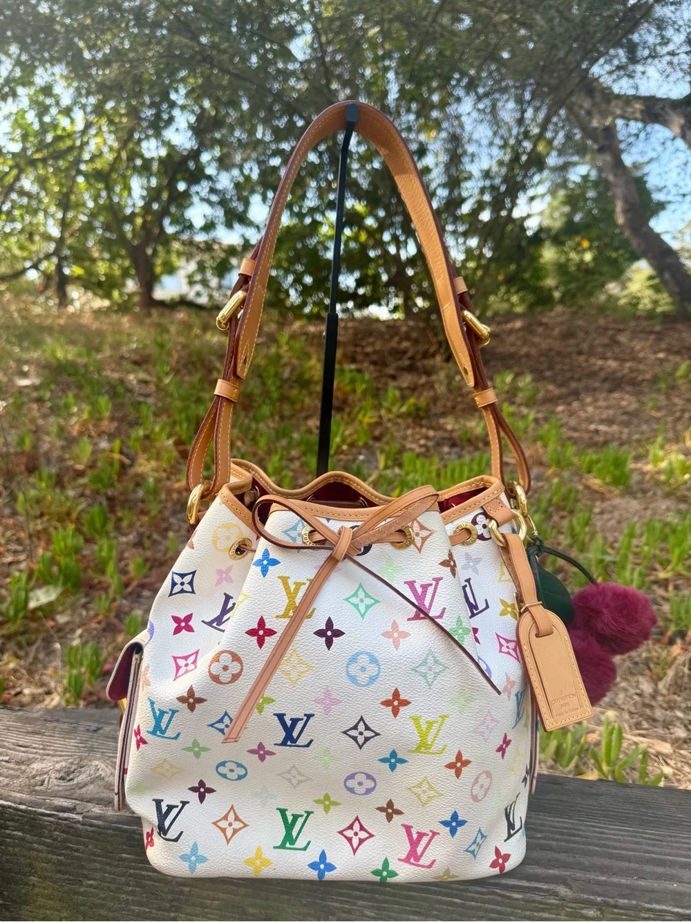 Louis Vuitton Multicolor Petit Noé & Certificate of Authenticity